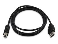 StarTech.com - USB-kabel - TAA-samsvar - USB (hann) til USB-type B (hann) - USB 2.0 - 3 m SKUSBAB10-TAA