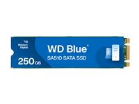 WD Blue SA510 WDS250G3B0B-00AXS0 - SSD - 250 GB - intern - M.2 2280 - SATA 6Gb/s - blå WDS250G3B0B-00AXS0