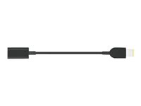 Lenovo USB-C to Slim-tip Cable Adapter - Strømkoblingsadapter - USB-C hunn til strøm hann 4X90U45346
