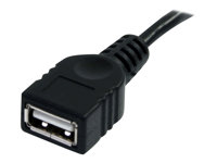 StarTech.com 10 ft Black USB 2.0 Extension Cable A to A - 10ft USB 2.0 Extension Cable - 10ft USB male female Cable (USBEXTAA10BK) - USB-forlengelseskabel - USB (hann) til USB (hunn) - USB 2.0 - 3 m - svart - for P/N: 35FCREADBK3, ICUSB2321F, ICUSB232PRO, ICUSB232V2, LTUB1MBK, MSDREADU2OTG, UUSBOTG USBEXTAA10BK