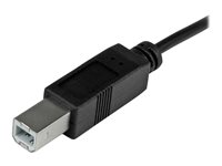 StarTech.com USB C to USB B Printer Cable - 3 ft / 1m - USB C Printer Cable - USB C to USB B Cable - USB Type C to Type B (USB2CB1M) - USB-kabel - 24 pin USB-C (hann) til USB-type B (hann) - USB 2.0 - 1 m - svart - for P/N: HB30A3A1CFB, HB30A3A1CSFS, HB30C3A1CFB, HB30C3A1CFS USB2CB1M